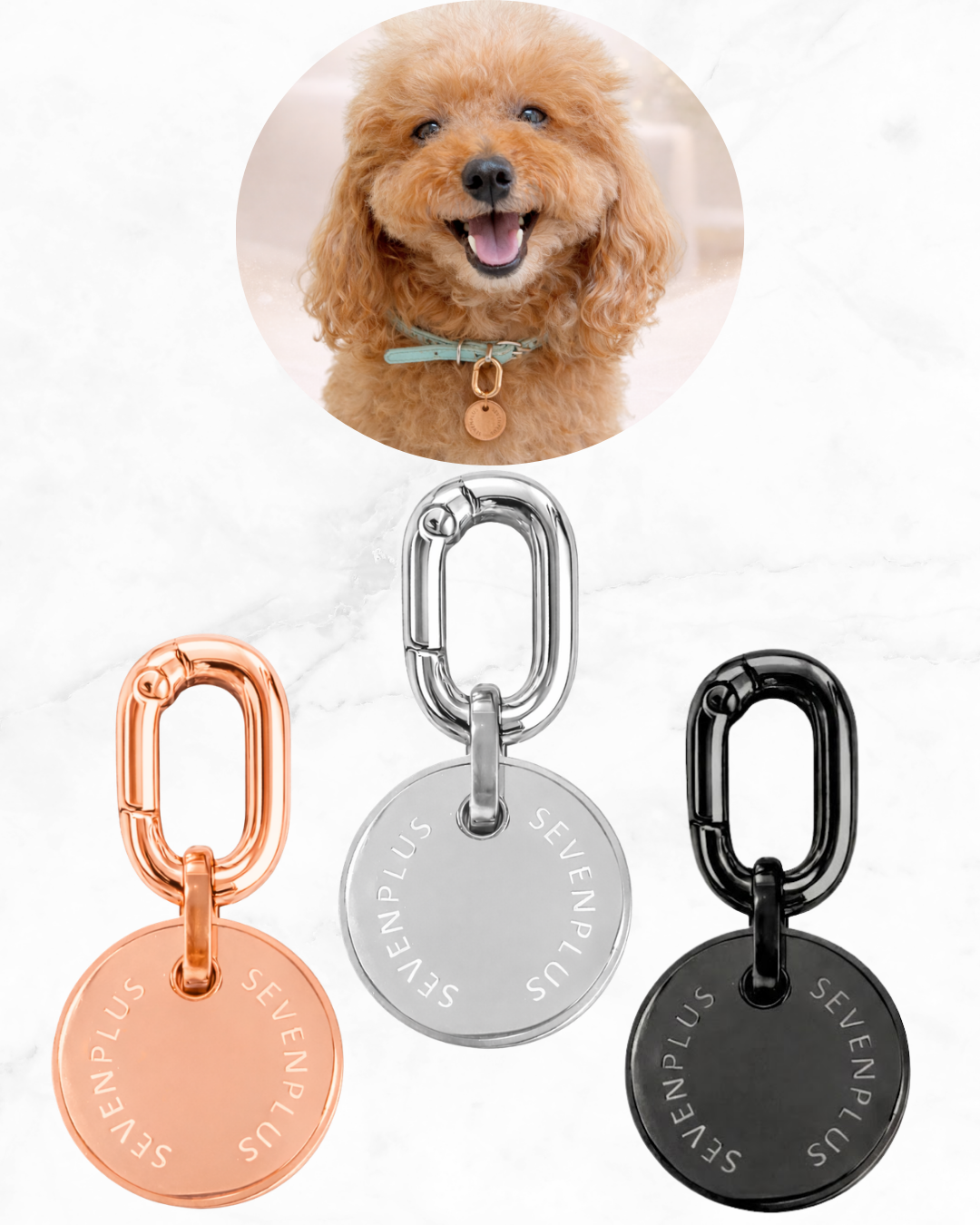 Sol Charm for Pets – SEVEN PLUS
