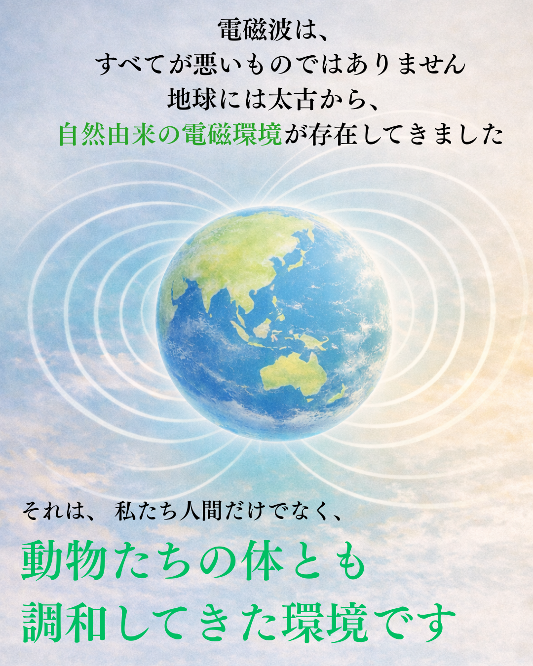 Amilla Nexus for Pets