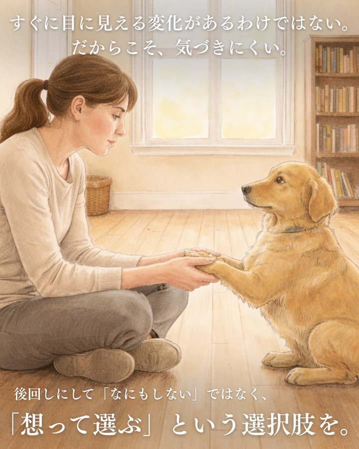 Amilla Moles for Pets