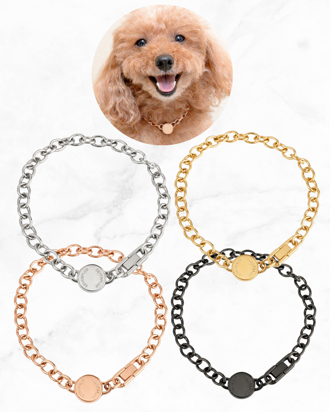 Amilla Nexus for Pets – SEVEN PLUS