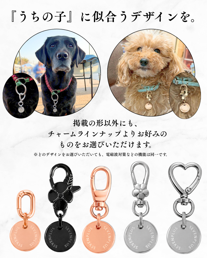 Sol Charm for Pets