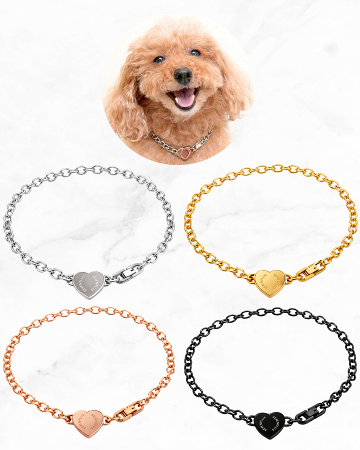 Cordis Nexus for Pets