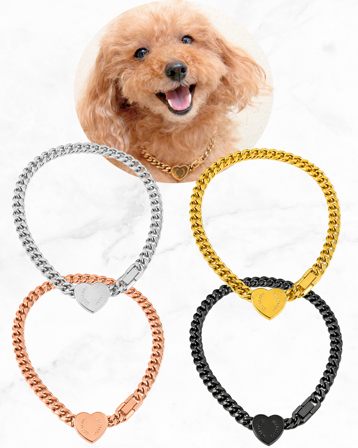 Cordis Moles for Pets